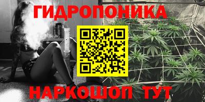 спиды Бийск
