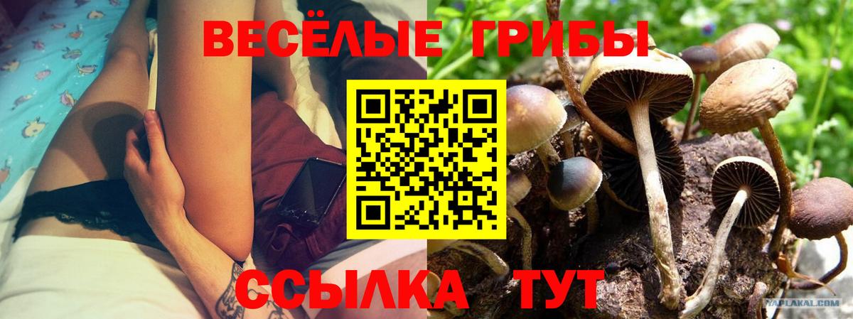 Кирово-Чепецк  МЕФ  COCAIN  Конопля  Alpha-PVP СОЛЬ   NBOMe  МЕФ кристаллы  Вход с VPN  Гашиш  LSD-25 